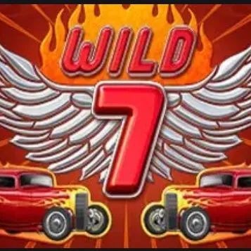Wild 7
