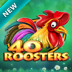 40 Roosters